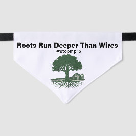 Wurzeln laufen tiefer als Wires