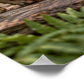 Wurzeln Poster (Ecke)