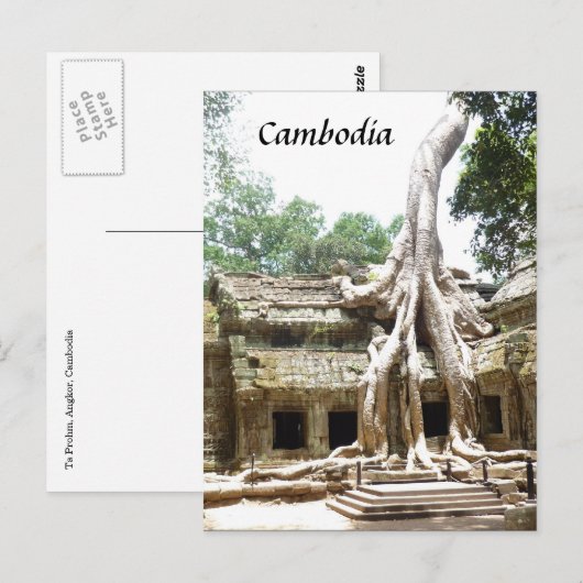 Wurzeln Postkarte (Vorne/Hinten)