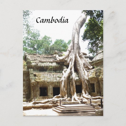 Wurzeln Postkarte (Vorderseite)