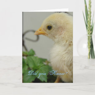 Wusstest Du? Ein heißer Schwanz, Geburtstag Karte