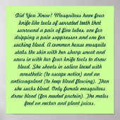 Wusstest Du? Poster (Vorne)