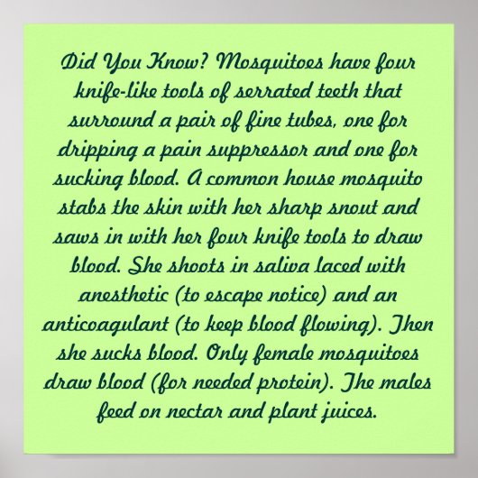 Wusstest Du? Poster (Vorne)