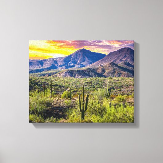 Wüste 2124-2-Arizona bei Sonnenuntergang Leinwanddruck (Vorderseite)