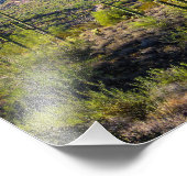 Wüste 2124-2-Arizona bei Sonnenuntergang mit Kakte Fotodruck (Ecke)