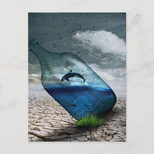 Wüste-749 Postkarte (Vorderseite)