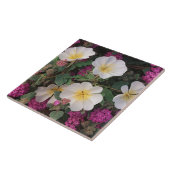 Wüste Abend Primrose und Wüste Sand Verbena, Fliese (Seite)