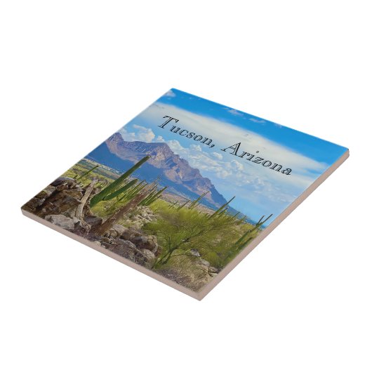 Wüste Arizona im Südwesten Fliese (Seite)