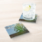 Wüste Beauty Glasuntersetzer (Schrägansicht)