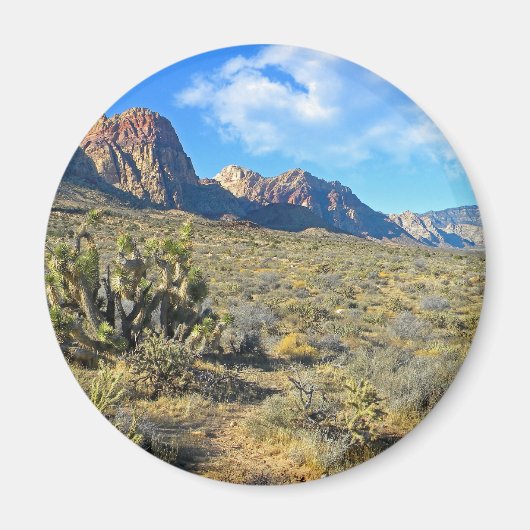 Wüste Beauty Magnet (Vorne)