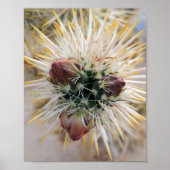 Wüste Beauty Poster (Vorne)