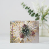 Wüste Beauty Postkarte (Stehend Vorderseite)