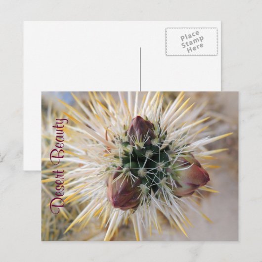 Wüste Beauty Postkarte (Vorne/Hinten)