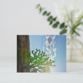 Wüste Beauty Postkarte (Stehend Vorderseite)