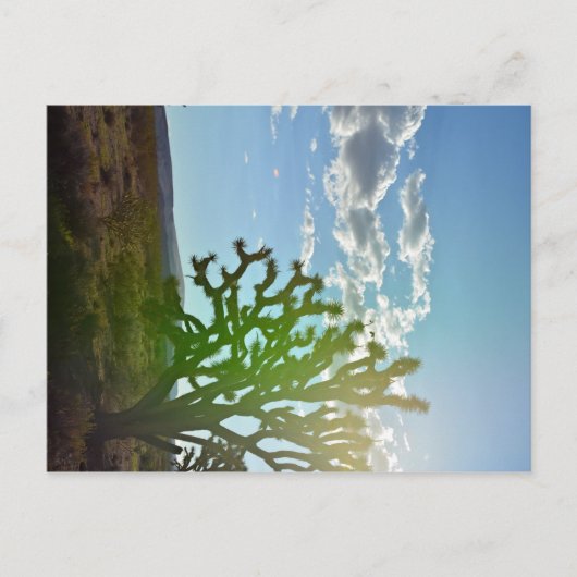 Wüste Beauty Postkarte (Vorderseite)