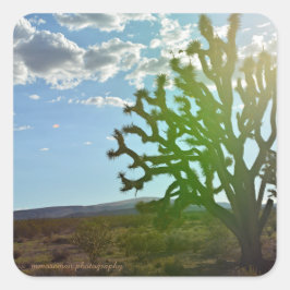 Wüste Beauty Quadratischer Aufkleber