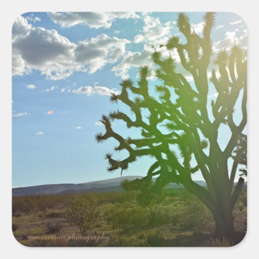 Wüste Beauty Quadratischer Aufkleber (Vorderseite)