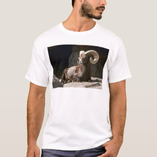 Wüste Bighornschafe (erwachsenes RAM gebettet T-Shirt