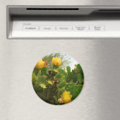 Wüste-Blume Magnet (In Situ (Geschirrspüler))