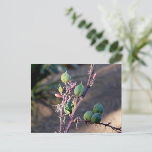 Wüste Blume Postkarte (Stehend Vorderseite)