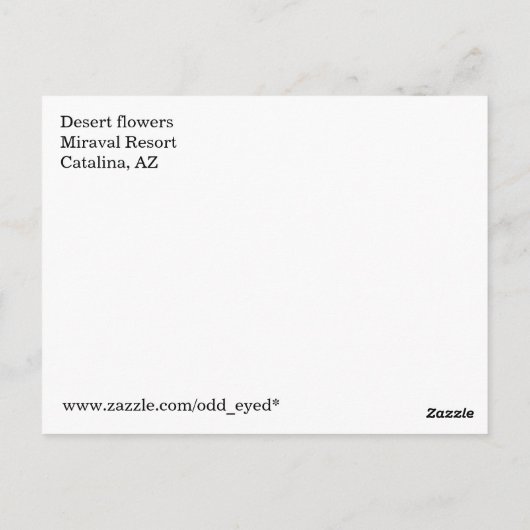 Wüste Blume Postkarte (Rückseite)