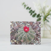Wüste-Blume Postkarte (Stehend Vorderseite)