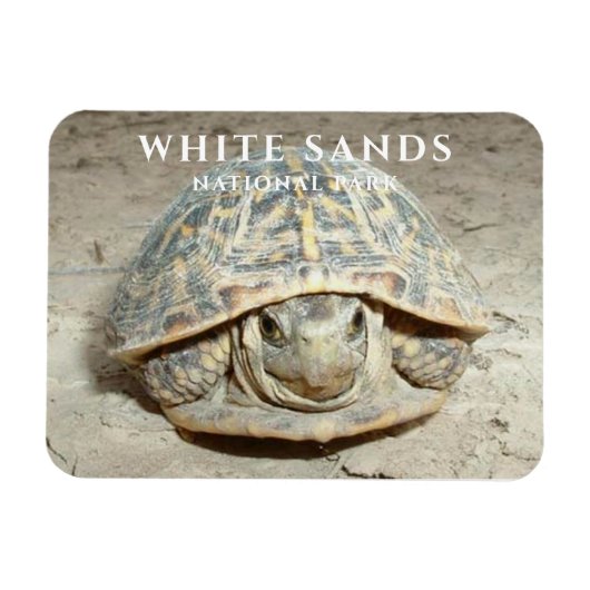 Wüste Box Turtle White Sands Nationalpark Magnet (Horizontal)