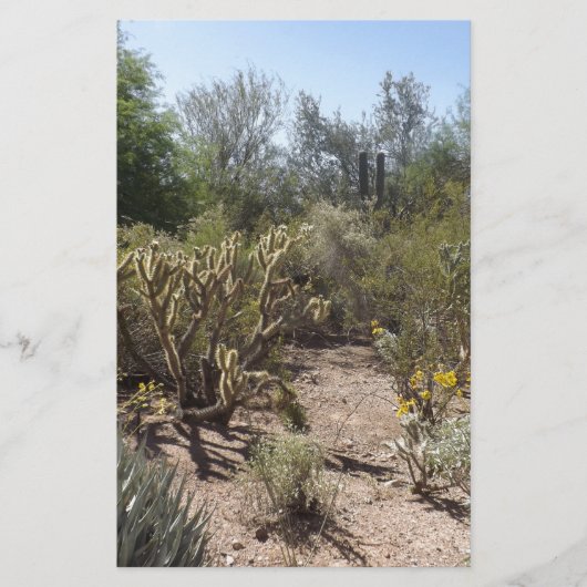 Wüste Briefpapier (Vorderseite)