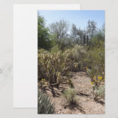 Wüste Briefpapier (Vorne/Hinten)