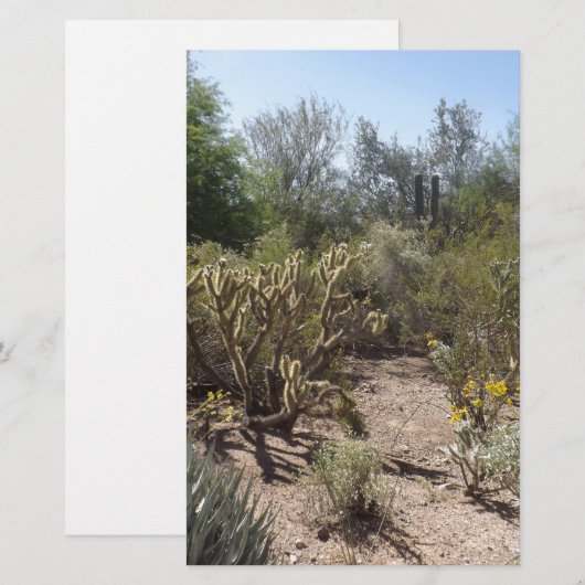 Wüste Briefpapier (Vorne/Hinten)