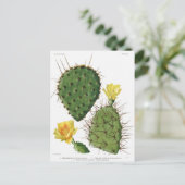Wüste Cactus Pflanze Pattern Vintag Postkarte (Stehend Vorderseite)