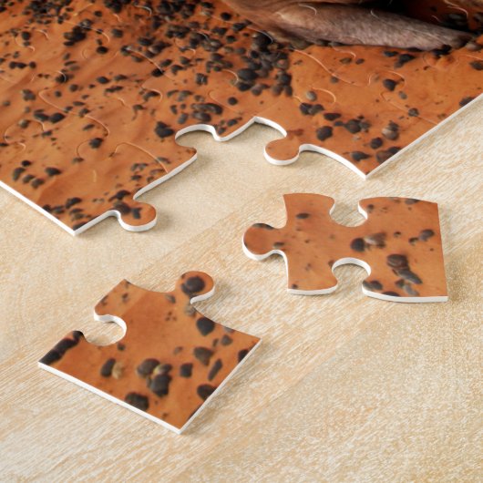 Wüste Camels Jigsaw Puzzle (Seite)