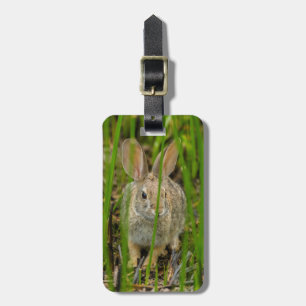 Wüste Cottontail Rabbit Gepäckanhänger