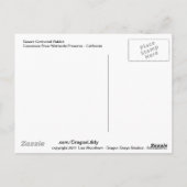 Wüste Cottontail Rabbit Postkarte (Rückseite)