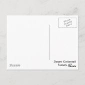 Wüste Cottontail Rabbit Postkarte (Rückseite)