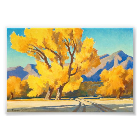 Wüste Cottonwood, Arizona von Maynard Dixon Fotodruck (Vorne)