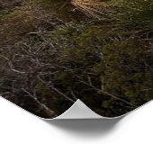 Wüste der Carlsbad Caverns Poster (Ecke)