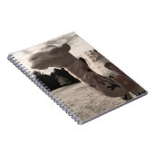 Wüste der Maine Notizblock (Rechte Seite)