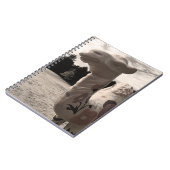 Wüste der Maine Notizblock (Linke Seite)