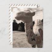 Wüste der Maine Postkarte (Vorne/Hinten)