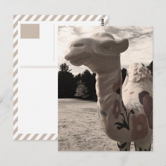 Wüste der Maine Postkarte (Vorne/Hinten)