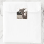 Wüste der Maine Quadratischer Aufkleber (Tasche)