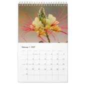 Wüste-Foto-Geschenk mit Kaktus Kalender (Feb 2027)