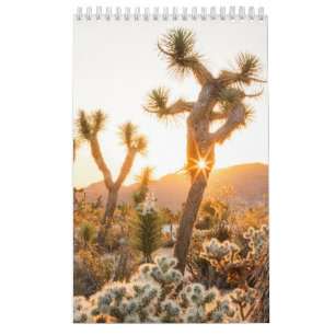 Wüste-Foto-Geschenk mit Kaktus Kalender