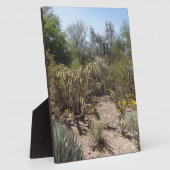 Wüste Fotoplatte (Seite)