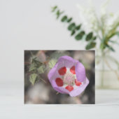 Wüste Fünf-Sterne-Postkarte Postkarte (Stehend Vorderseite)