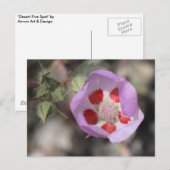 Wüste Fünf-Sterne-Postkarte Postkarte (Vorne/Hinten)