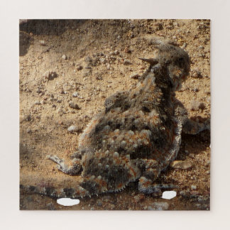 Wüste Horned Lizard Schwierigkeit Puzzle