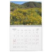 WÜSTE IM BLOOM KALENDER (Mär 2027)