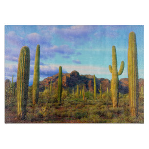 Wüste im Frühling Schneidebrett